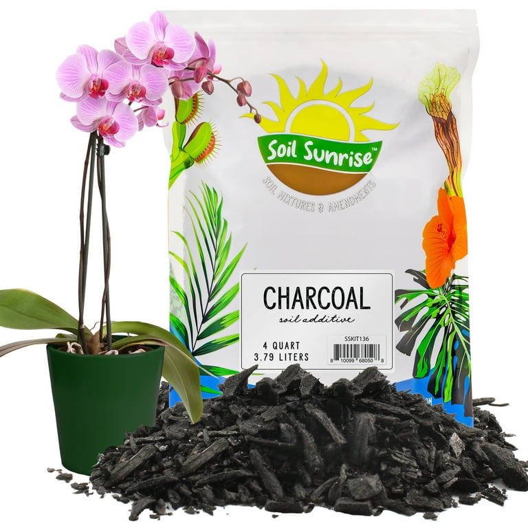 Organic Horticultural Charcoal & Terrarium Charcoal | Charcoal for Plants |  Pure Hardwood Charcoal for Planting and Gardening | Organic Canadian Maple