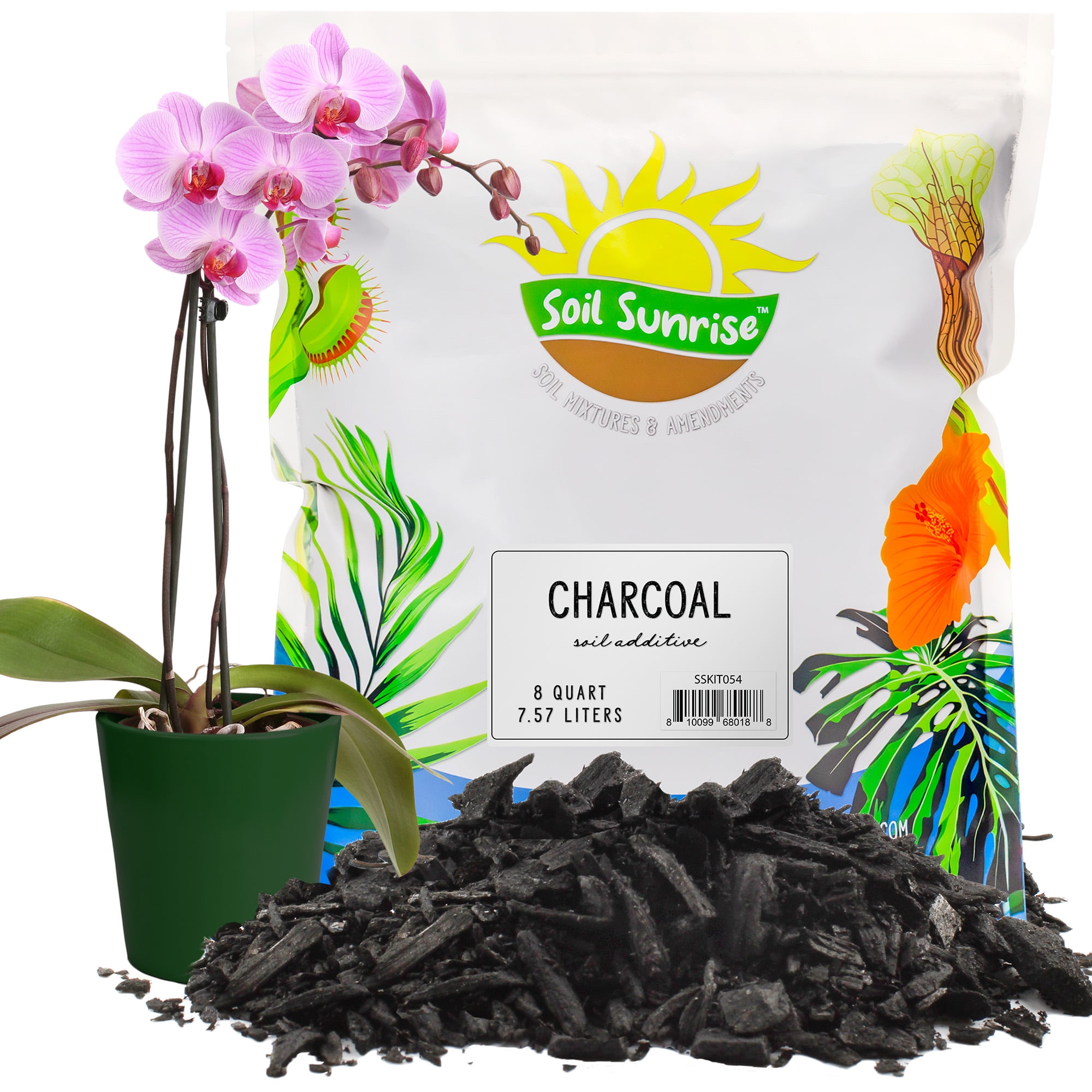 Horticultural Charcoal 101: Plant & Substrate Guide - Terrarium Tribe