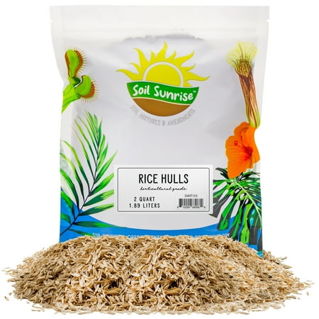 Horticultural Grade Rice Hulls (2 Quarts); All Natural Organic for House Plants and Chicken Bedding