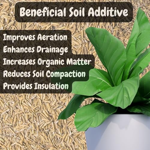 Horticultural Grade Rice Hulls (4 Quarts); All Natural Organic for ...