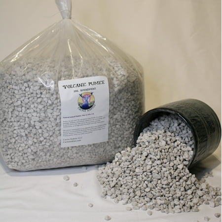 Horticultural Pumice - 14 dry quarts - Cactus Succulent Bonsai Soil Amendment