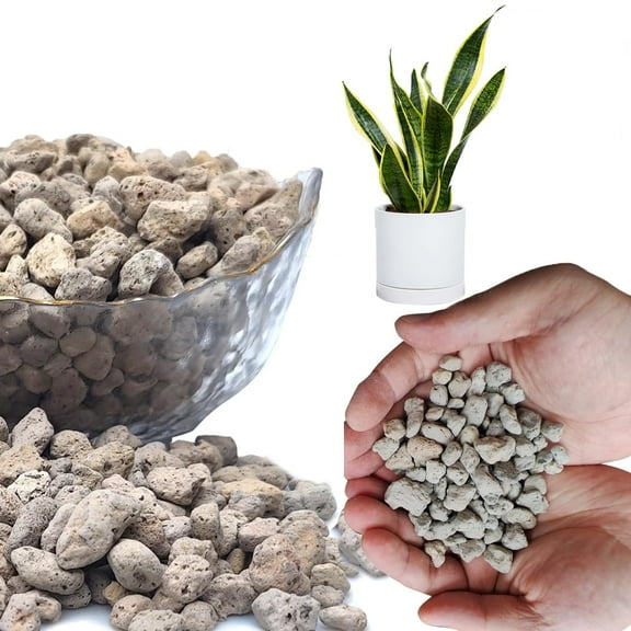 Horticultural Pumice for Plants by GIXUSIL, Garden Pumice Rock, Horticultural Cactus Bonsai Succulent Soil Additive for Plants, Landscaping, Vase Fillers, Promotes Root(3/8 in, 0.5 LB)