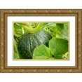 thumbnail image 1 of Horton, Janet 14x11 Gold Ornate Wood Framed with Double Matting Museum Art Print Titled - Bellevue-Washington State-USA Discus Bush Buttercup Squash growing, 1 of 4