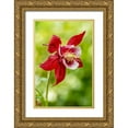thumbnail image 1 of Horton, Janet 17x24 Gold Ornate Wood Framed with Double Matting Museum Art Print Titled - Rocky Mountain Columbine in bloom, 1 of 4