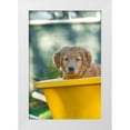 thumbnail image 1 of Horton, Janet 23x32 White Modern Wood Framed Museum Art Print Titled - Ten week old Red Golden Retriever puppy-sitting in a wheelbarrow-PR, 1 of 4