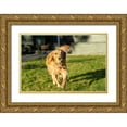 thumbnail image 1 of Horton, Janet 32x23 Gold Ornate Wood Framed with Double Matting Museum Art Print Titled - Ten week old Red Golden Retriever puppy-PR, 1 of 4