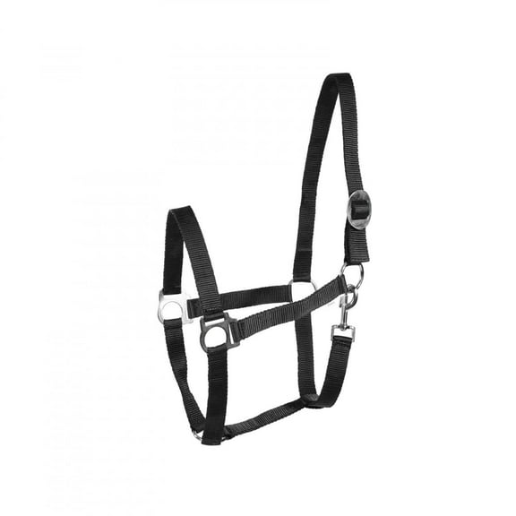 Horze Basic Horse Halter