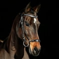 thumbnail image 1 of Horze Bergen Leather Remont Bridle, 1 of 4