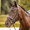 thumbnail image 1 of Horze Classic Dressage Ergonomic Bridle with Curved Browband, 1 of 7