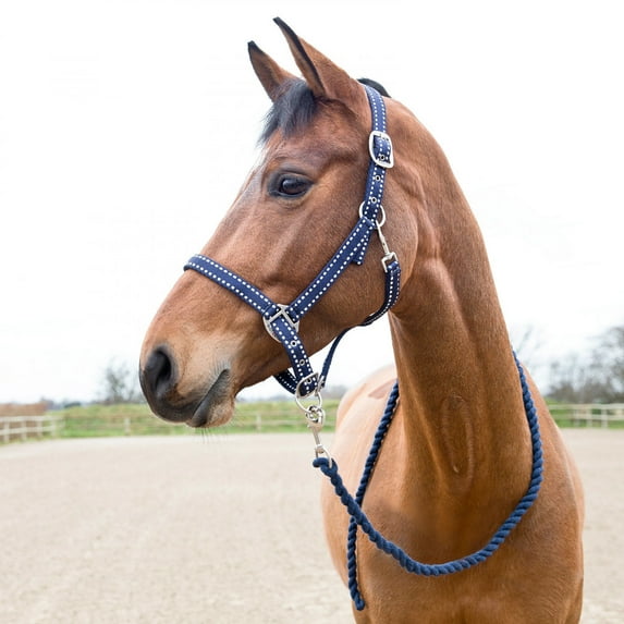 Horze Cooper Halter with Lead Rope