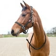 thumbnail image 1 of Horze Cooper Halter with Lead Rope, 1 of 3