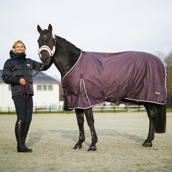 Horze Glasgow Heavy Weight Waterproof Winter Turnout Horse Blanket (350g Fill)