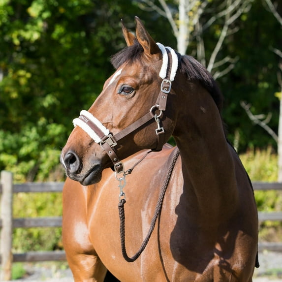 Horze Howard Soft Fleece Padded Polyester Horse Halter - Easy-to-Adjust Straps, Brushed Nickel Hardware