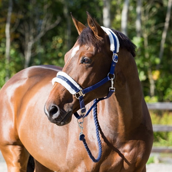 Horze Howard Soft Fleece Padded Polyester Horse Halter - Easy-to-Adjust Straps, Brushed Nickel Hardware