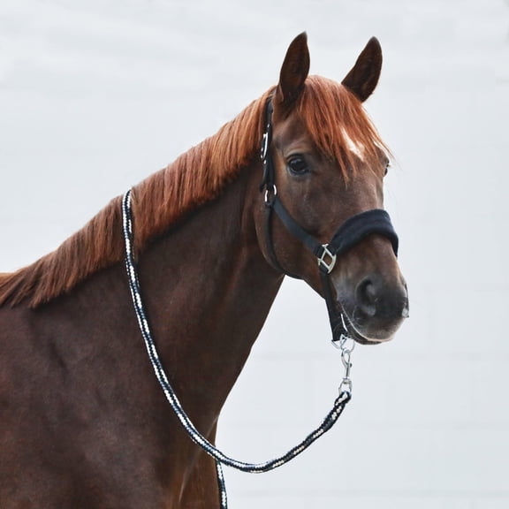 Horze Kiel Halter with Fleece