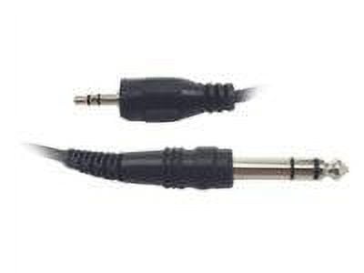 HOSA TECHNOLOGY Hosa Stereo Interconnect 3.5Mm to 1/4in Trs 10Ft