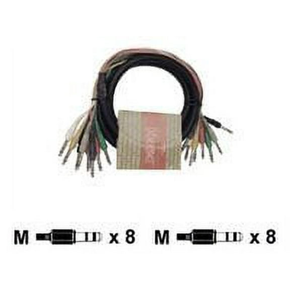 Hosa CSS-802 Balanced 1/4"-1/4" 8-Channel Cable 9.9 ft.