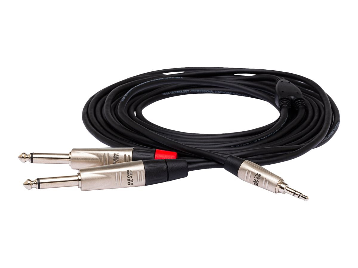 Hosa Technology Pro 10' Stereo Breakout, REAN 3.5mm TRS to Dual 1/4" TS