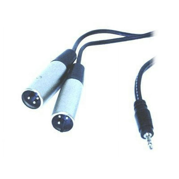 Hosa Technology Hosa CYX-402M 3.5 mm TRS to Dual XLR3M Stereo Breakout Cable, 2 Meters