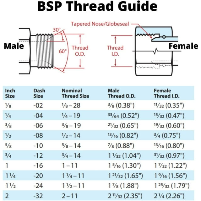 Hose x Female BSP Swivel Hydraulic Hose End Crimp Fitting FBSPX1212