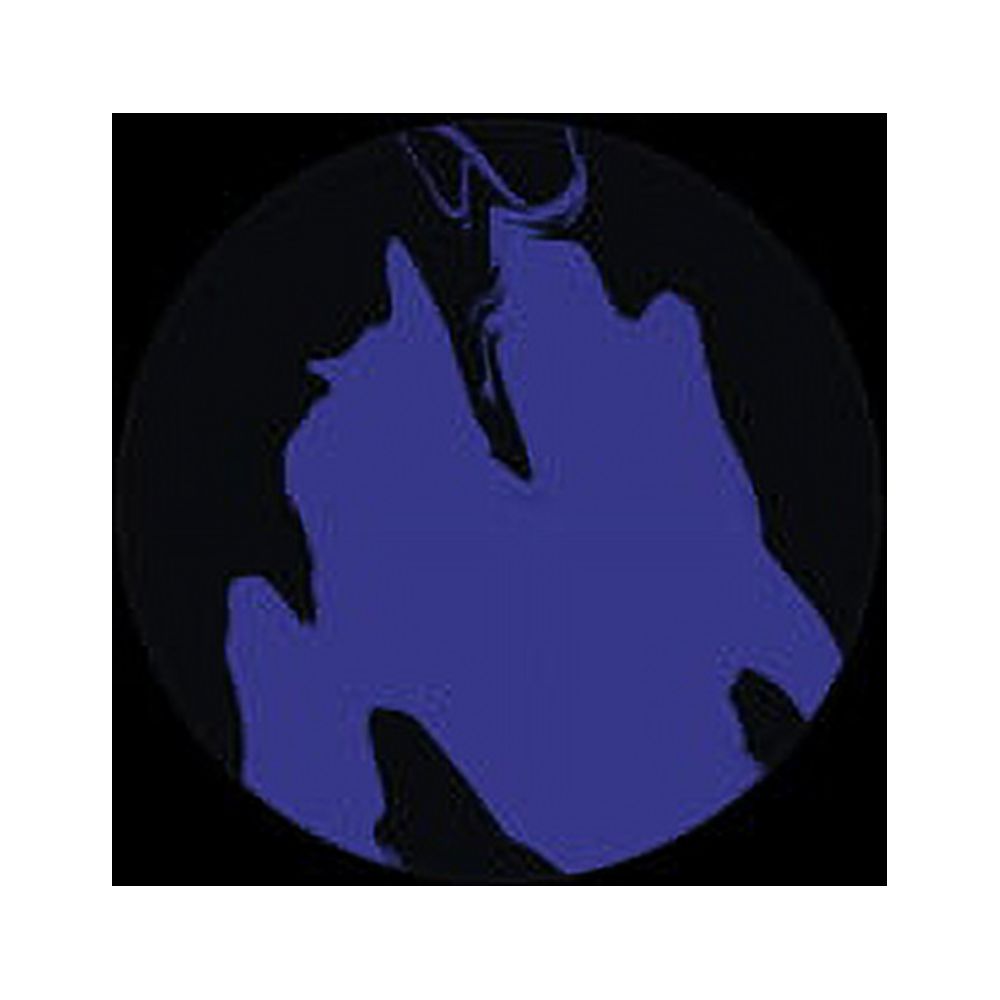 Hoshina Anniversary - Tough - Electronica - Vinyl