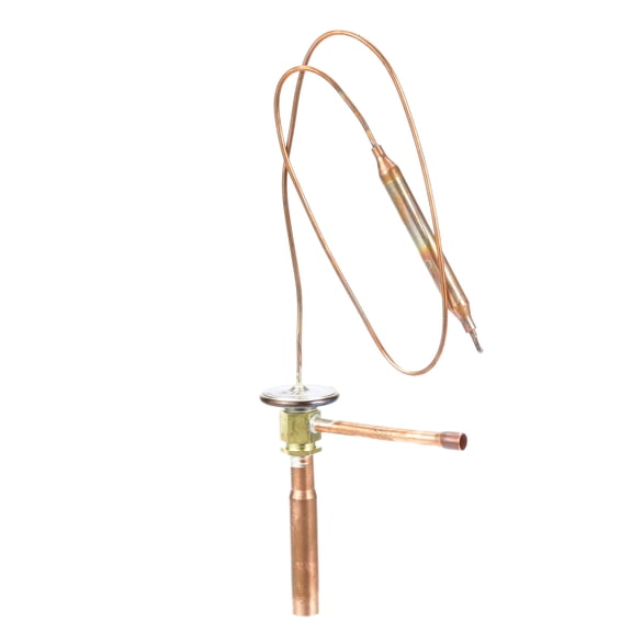 Hoshizaki - 4A1482-01 - TX Valve R404A