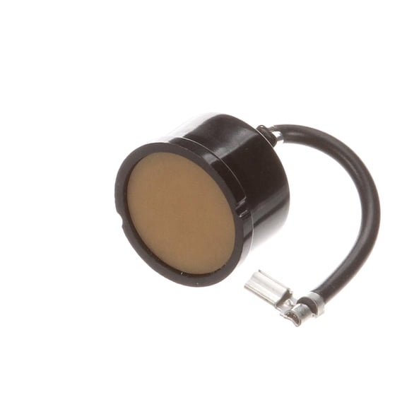 Hoshizaki P00363-01 P00363-01 Motor Prot