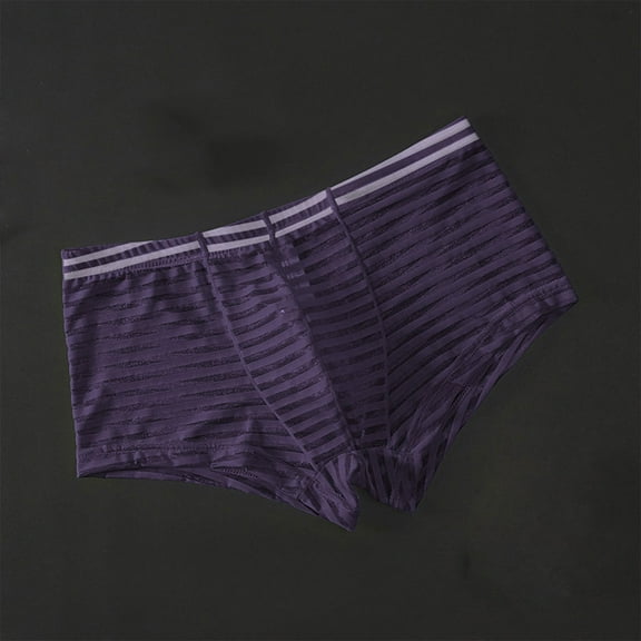 Hoshose Summer Mens Boxer Briefs See Through Underwear Ultra Thin Sheer Trunks Breathable