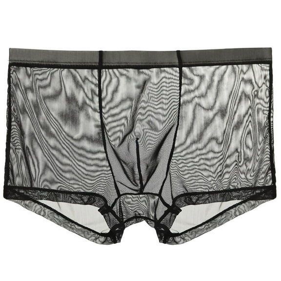 Hoshose Summer Mens Boxer Briefs See Through Underwear Ultra Thin Sheer Trunks Breathable