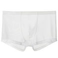 thumbnail image 1 of Hoshose Summer Mens Boxer Briefs See Through Underwear Ultra Thin Sheer Trunks Breathable, 1 of 2