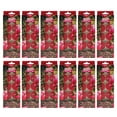 thumbnail image 1 of Hosley 120 PCs Bulk Pack Mountain Berry Fragrance Highly Scented Tea Light Candle. Ideal for Wedding Church Vigil Emergency Lanterns Spa Aromatherapy Party Reiki Candle Garden, 1 of 10
