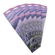 HOSLEY Specialty Aromatherapy Series Lavender Incense Stick, Purple, 240 Count