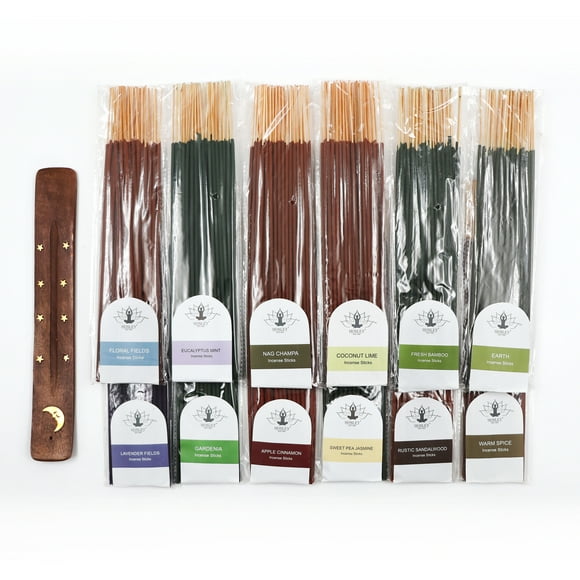 Hosley 480 Pack of Assorted Fragrance Incense Sticks