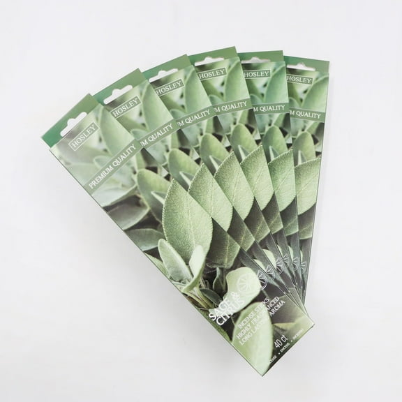 Hosley 120 Pack Incense Sticks + Bonus 120 Pack (Total 240) Sage & Citrus Perfect for Home, Meditation & Aromatherapy