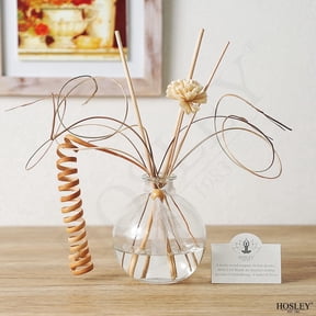 Hosley Glass Reed Diffuser Bottle with Decorative Reeds & Curly Willow, 100mL Clear Aromatherapy Vase for Home Decor, Spa, and Gifting (Fragrance Oil Not Included)