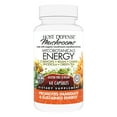 thumbnail image 1 of Host Defense, MycoBotanicals Energy, Promotes Immediate and Sustained Energy, Daily Mushrooms and Herb Supplement with Reishi and Cordyceps, Vegan, Organic, 1 of 9
