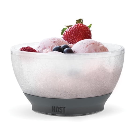 Host FREEZE Cooling Bowls for Ice Cream, Fruit Salad, Yogurt Set of 1, Grey