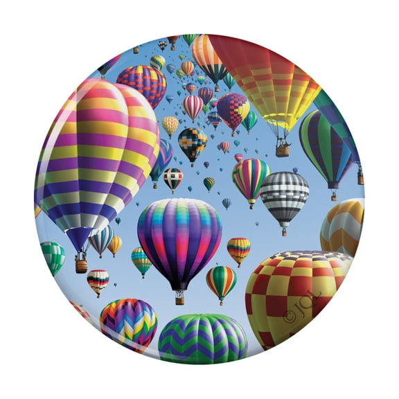 Hot Air Balloon Festival Up in the Air Pinback Button Pin