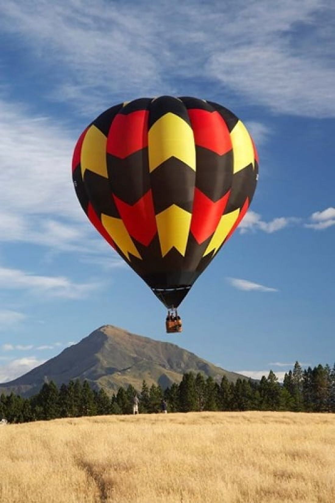 Hot Air Balloon Wanaka South Island New Zealand Canvas Art - David Wall DanitaDelimont (12 x 17)