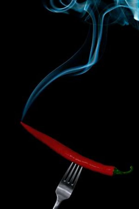 Hot Bite Canvas Art - Gert Lavsen (20 x 28)