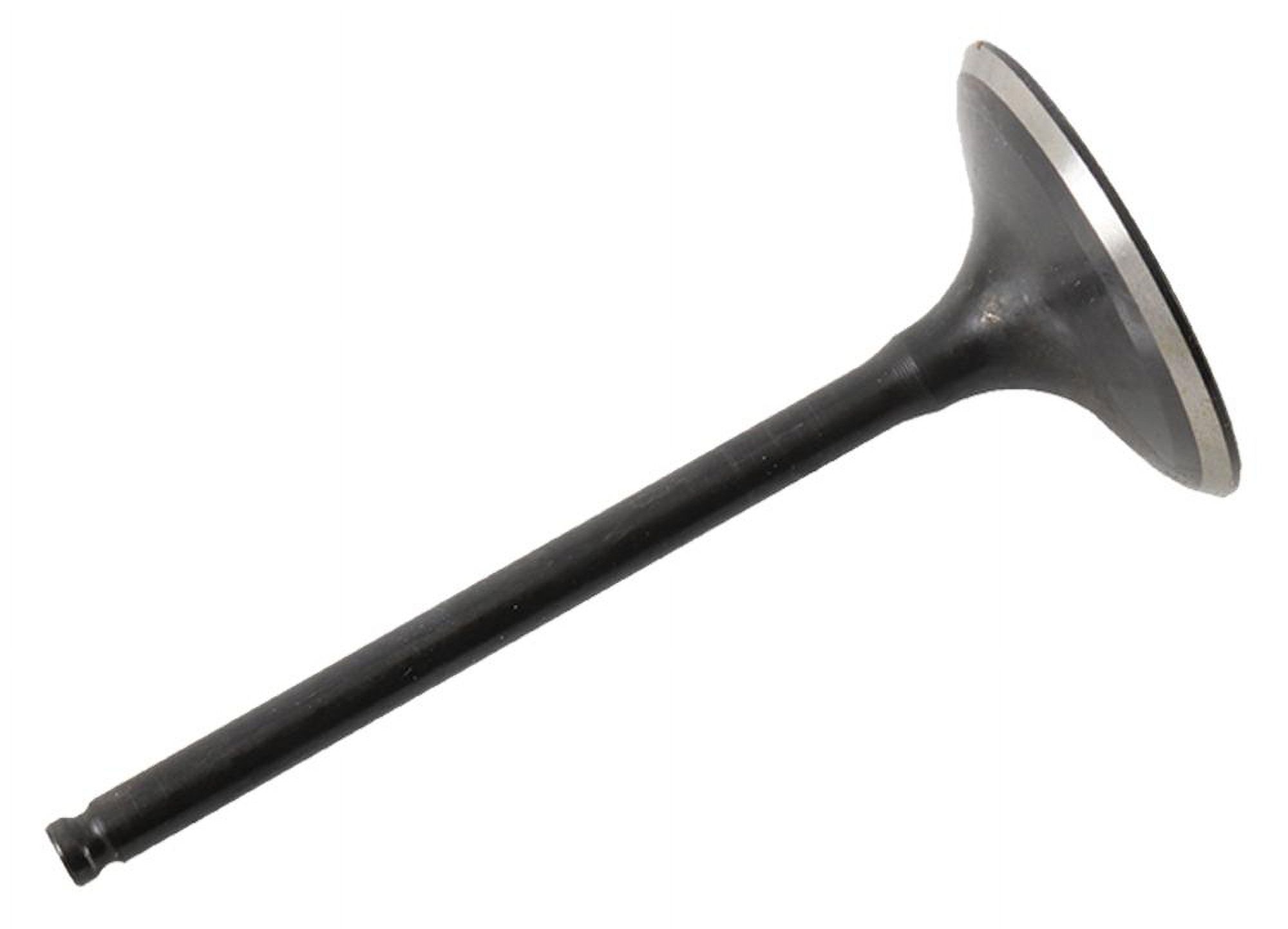 Stainless Steel Intake Valve fits Harley Davidson