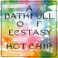 thumbnail image 1 of Hot Chip - Bath Full Of Ecstasy - Rock - CD, 1 of 1