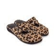 thumbnail image 1 of Hot Chocolate Design Spotted Clog for Women , Size 8, 1 of 6