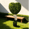 thumbnail image 1 of Hot Deal!Artificial Heart Topiary, Valentine's Day Heart Shaped Topiary Trees, Faux Boxwood Decoration Ball Tree with Planter Pots, 1 of 7