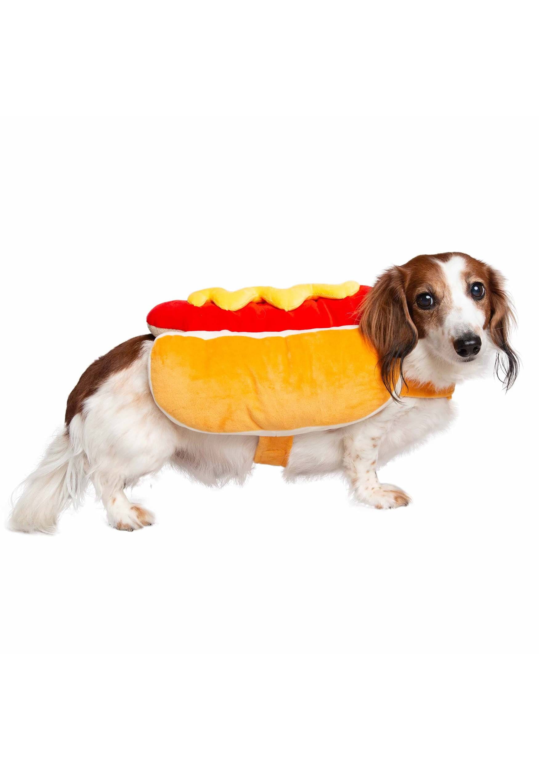 Pet Hot Dog Design Costume, Pet Costume Funny Dog Cosplay Outfits for  Halloween Day (Medium)