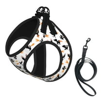 Hot Dragon Pet Leash Vest Small Dogs Cats Puppy Harness With Leash Reflective No Choke Small