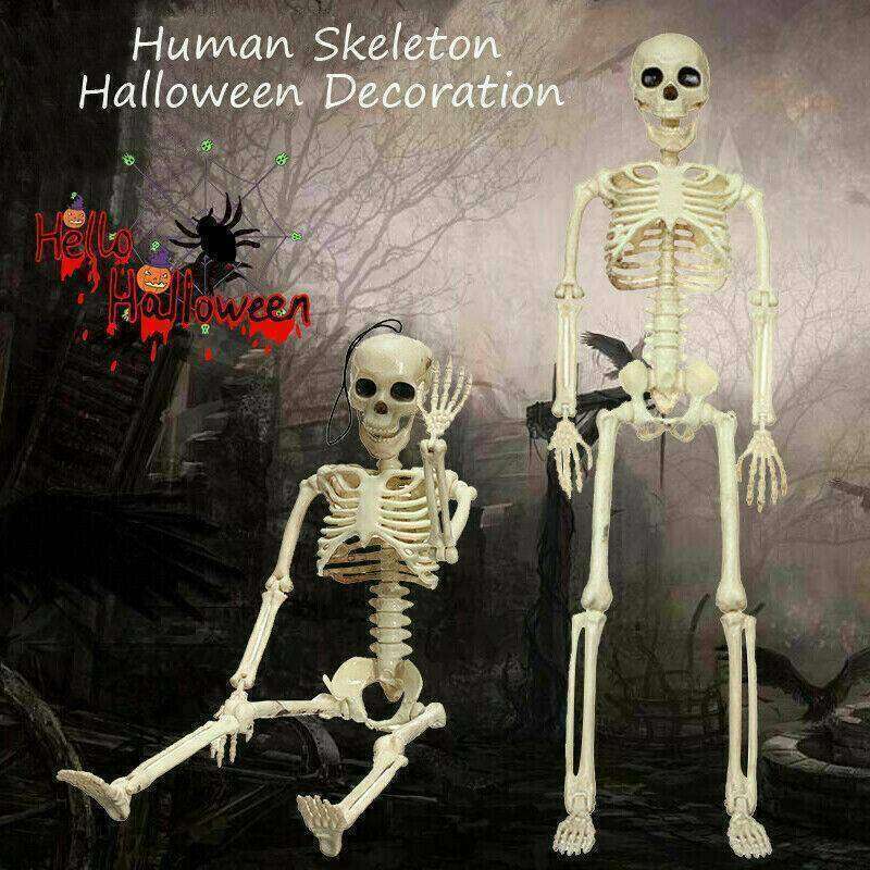 Hot Halloween Human Skeleton Poseable Full Life Size Decoration Party