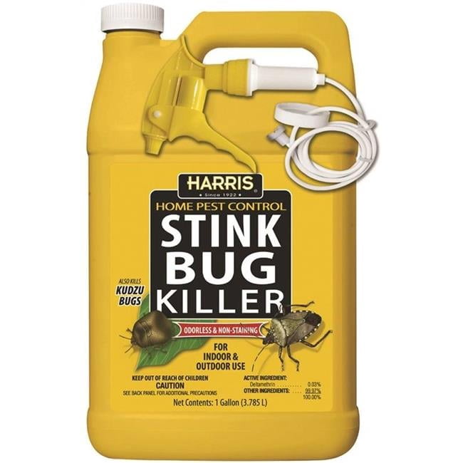 Hot House Designs Stink Bug Killer Liquid Insecticide, 1 Gallon ...