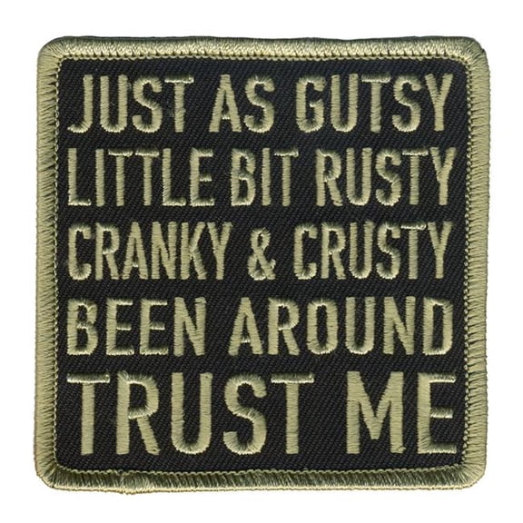 Hot Leathers PPL9774 3 x 3 in. Just As Gutsy Patch - Multi Color