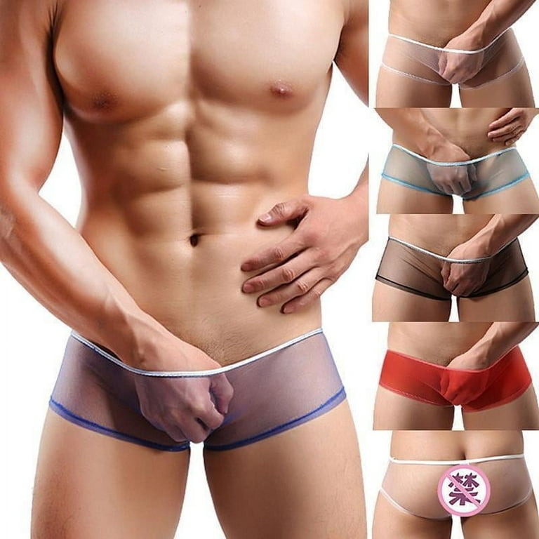 Hot Men Sexy Mesh Sheer Boxer Briefs Underwear Trunks Transparent Shorts